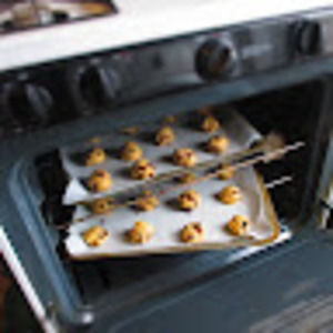 Meet your Posher, Rivka